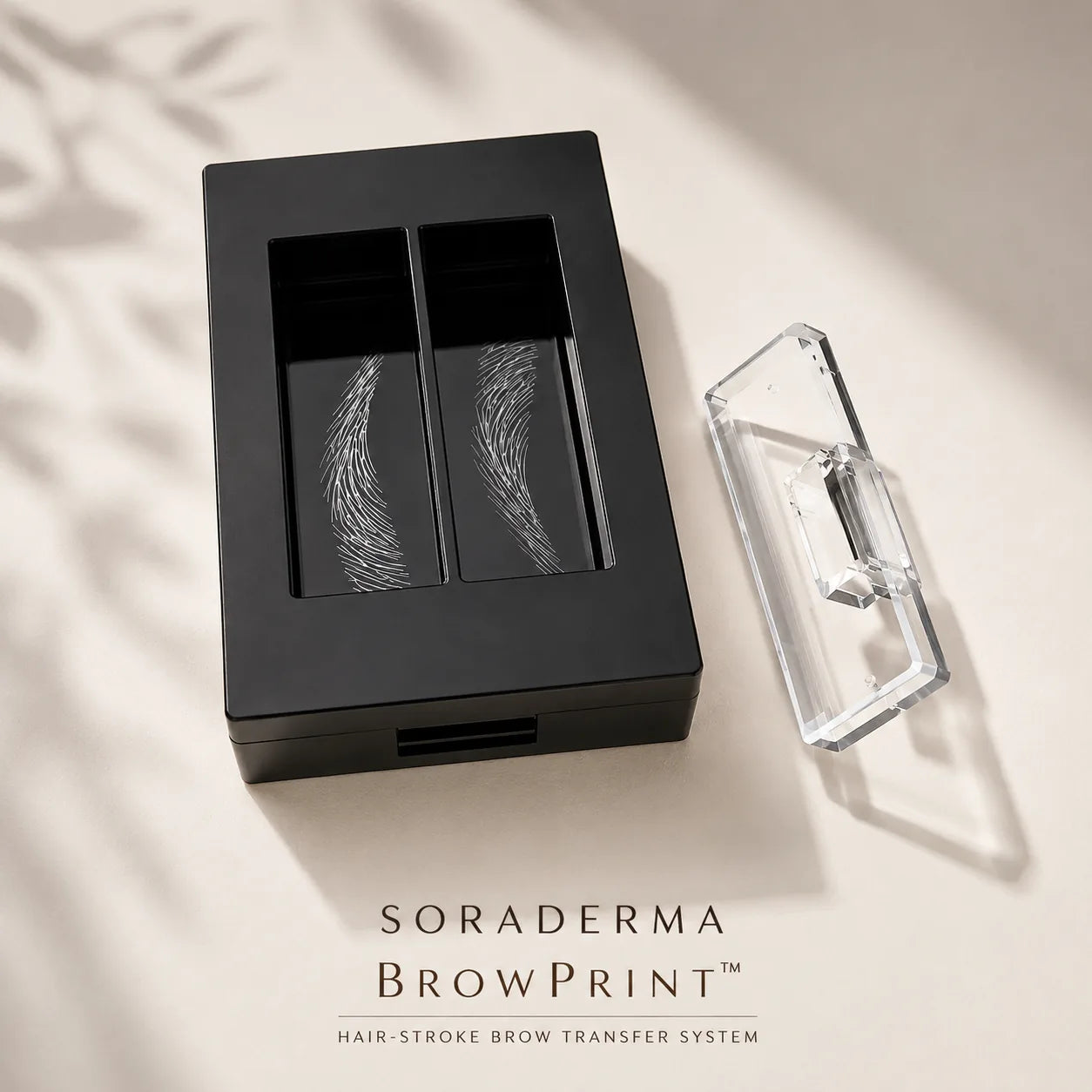BrowPrint precision applicator and hair-stroke plates